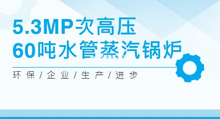 方快锅炉5.3MPa次高压60吨水管锅炉服务唐山迪牧化工